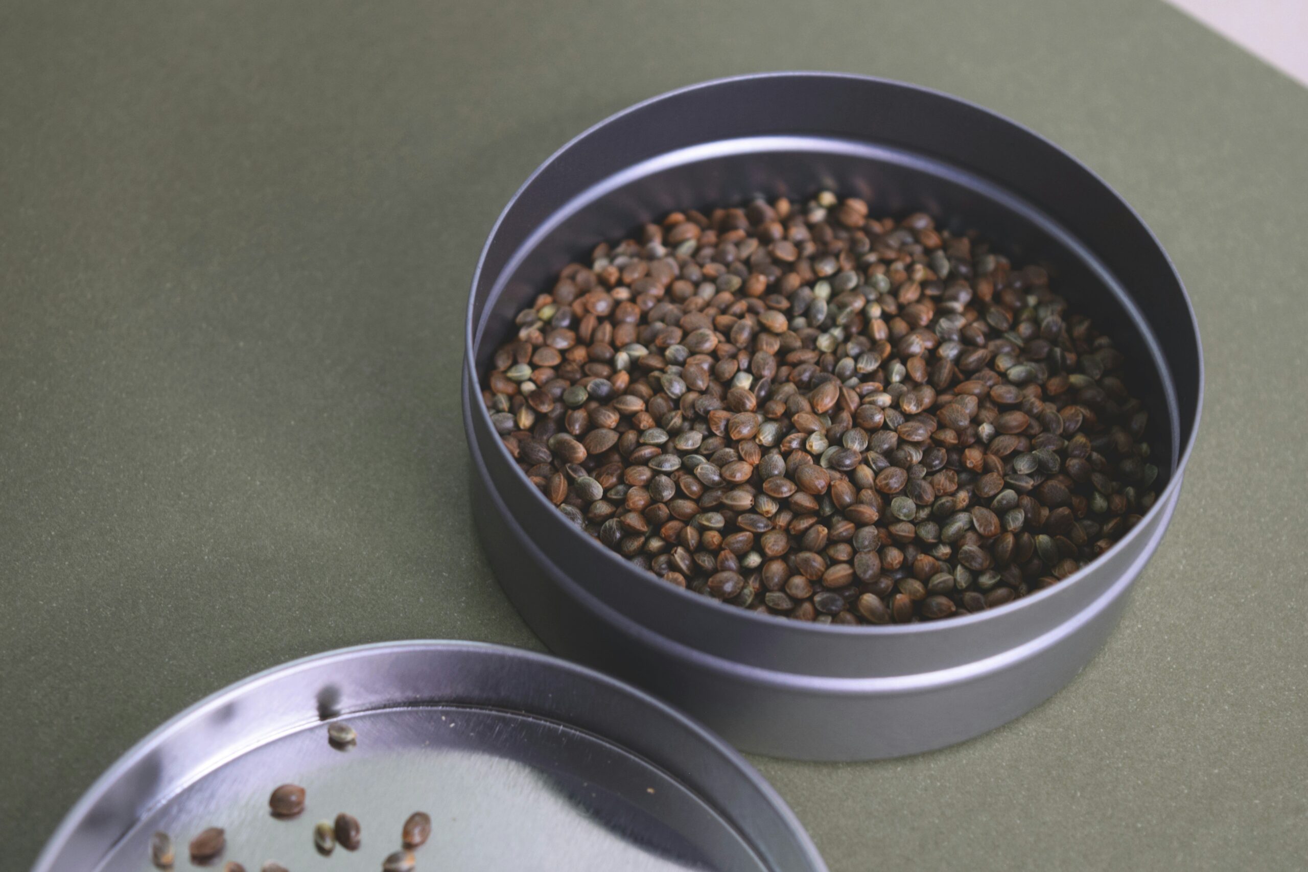 Boosting Liver Care for Dogs: The Secret Role of Copper Supplements