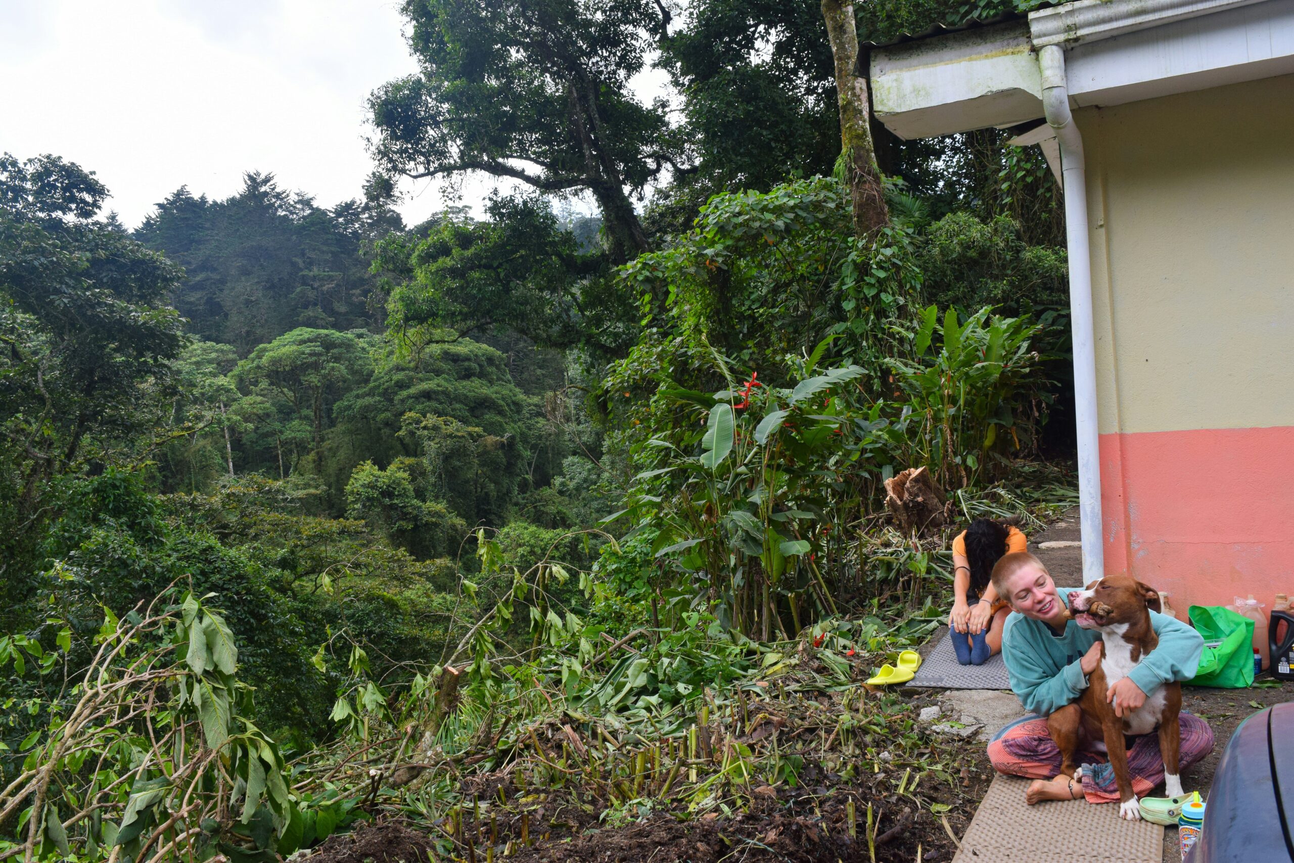 Happy and energetic dog after detox routine