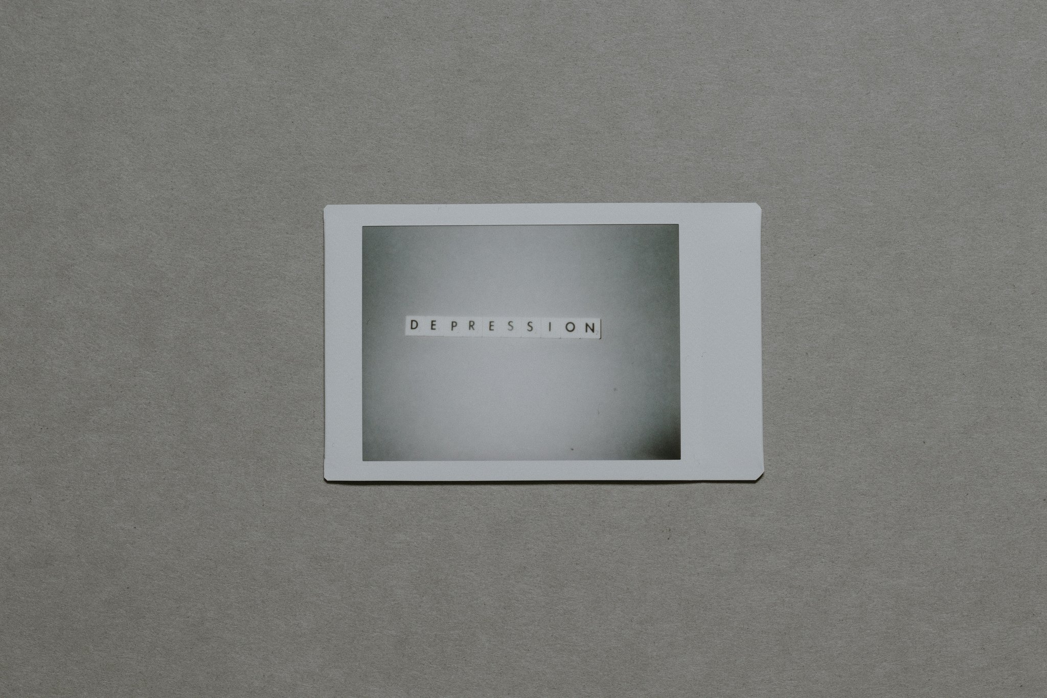 Diagram showing the functions of a dog's liver