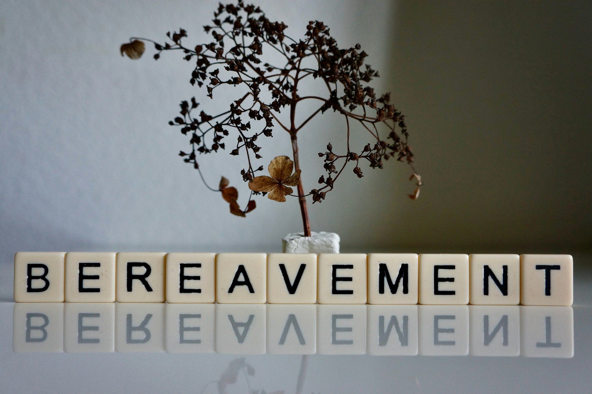 Infographic showing copper's role in enzyme function