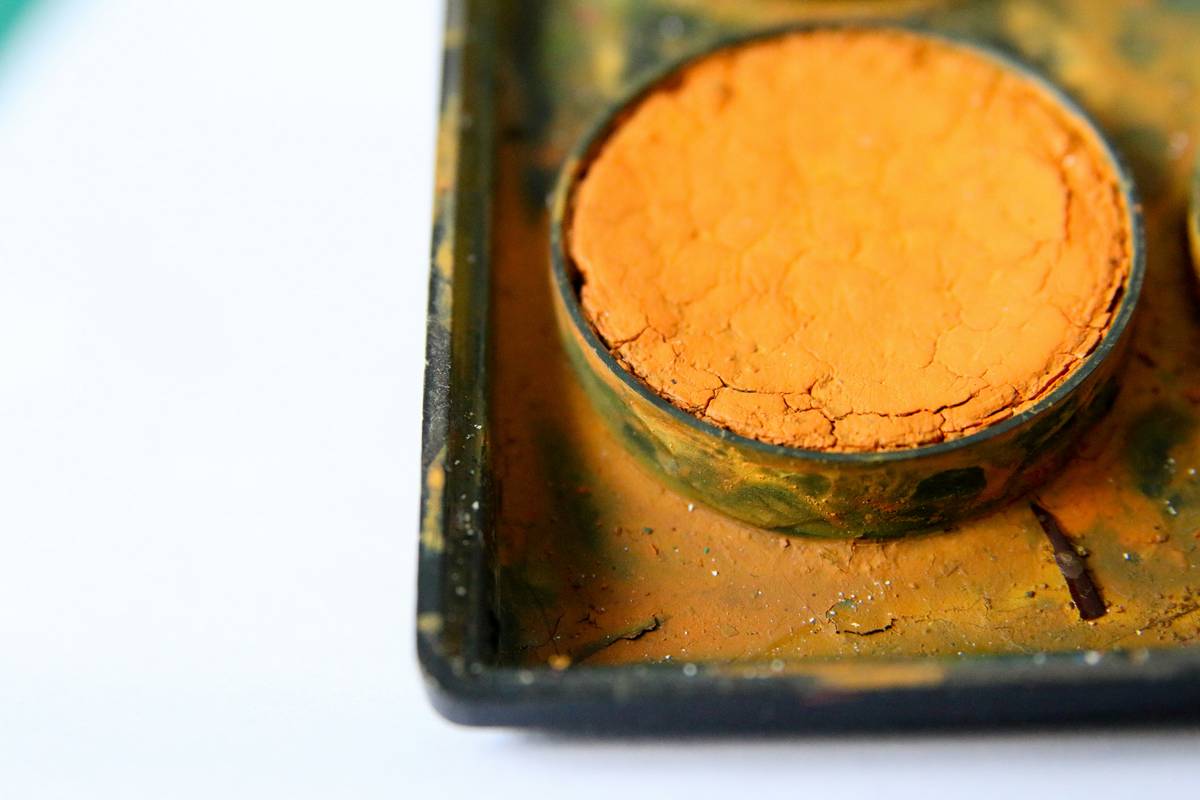 Why Your Furry Friend Needs a Copper Detox Supplement: The Ultimate Guide