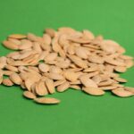 Toxicity Control for Pets: The Crucial Role of Copper Supplements in Pet Care