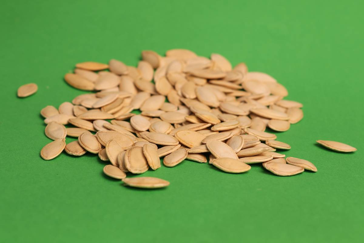 Toxicity Control for Pets: The Crucial Role of Copper Supplements in Pet Care