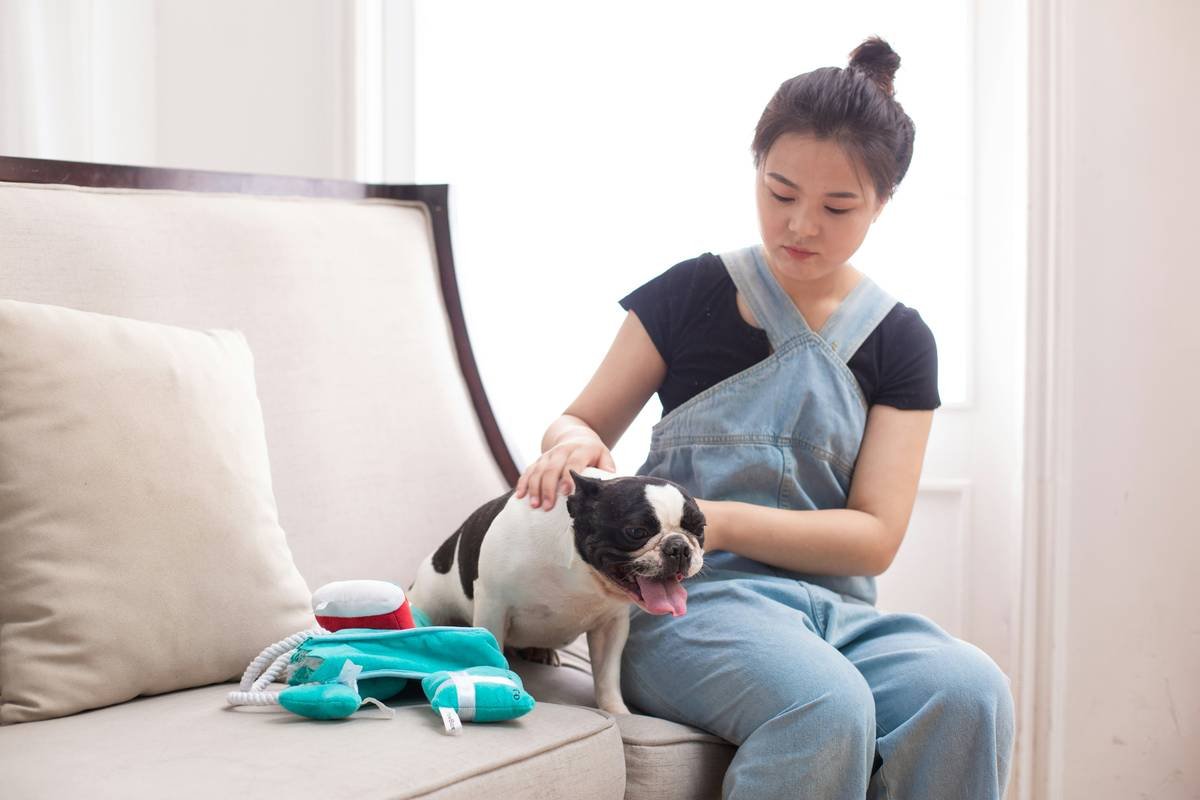 Is There a Safe Copper Supplement for Dogs? What Every Pet Parent Needs to Know