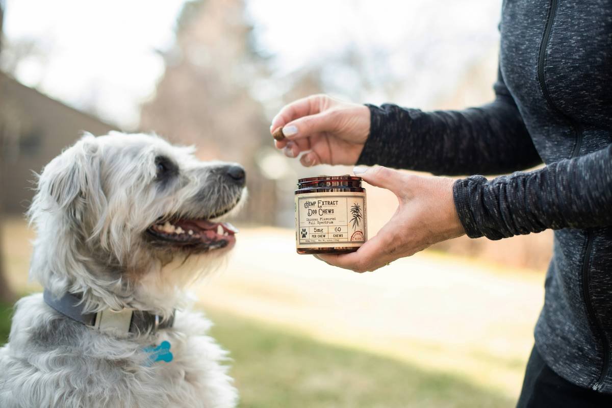 Is Your Dog’s Liver Crying Out for Help? The Truth About Copper & Liver Function Supplements