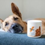 Is Your Dog’s Liver Struggling? The Truth About Copper Hepatic Wellness & Safe Supplementation
