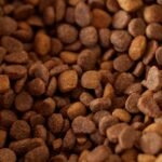 Pet Toxicity Control: Why Copper Supplements Can Be a Double-Edged Sword for Your Furry Family