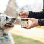 Can My Dog Really Benefit from a Canine Liver Enhancer? The Copper Connection Explained