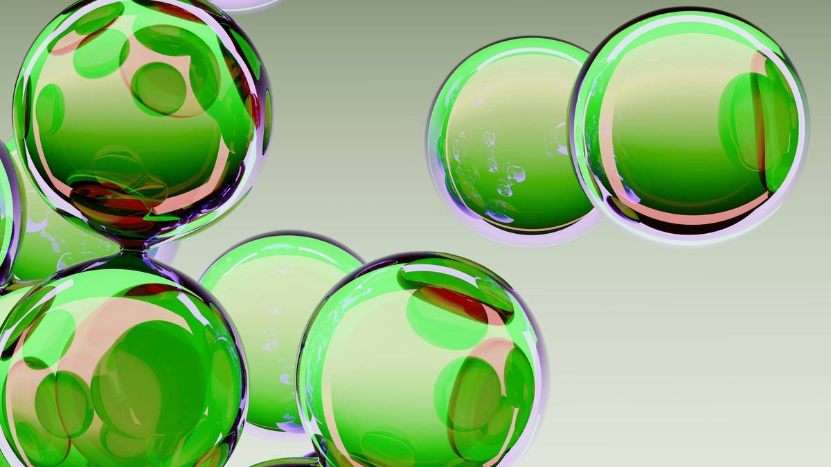 Diagram showing key copper-dependent enzymes in pets: lysyl oxidase for connective tissue, cytochrome c oxidase for energy production, superoxide dismutase for antioxidant defense, tyrosinase for pigmentation