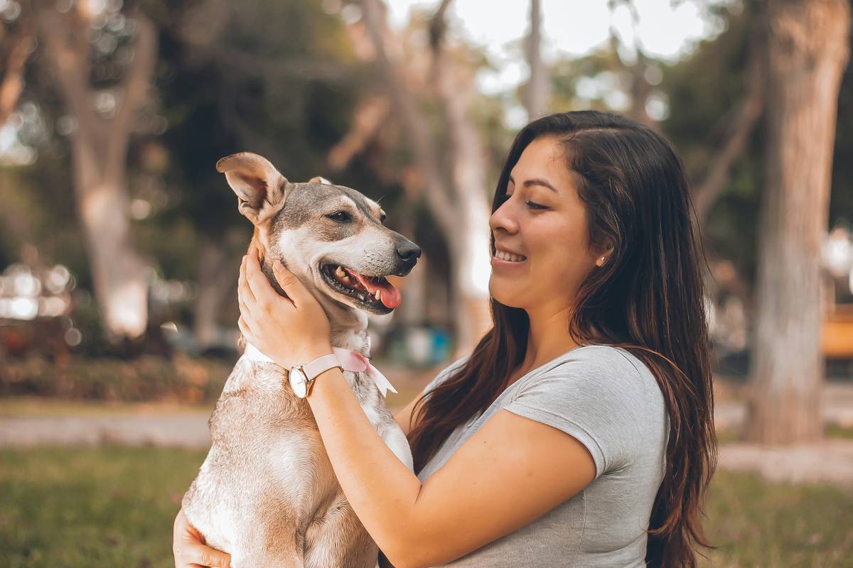 Is Your Dog’s Liver Struggling? Why a Dog Liver Support Supplement Might Be the Missing Piece (And When Copper Matters)
