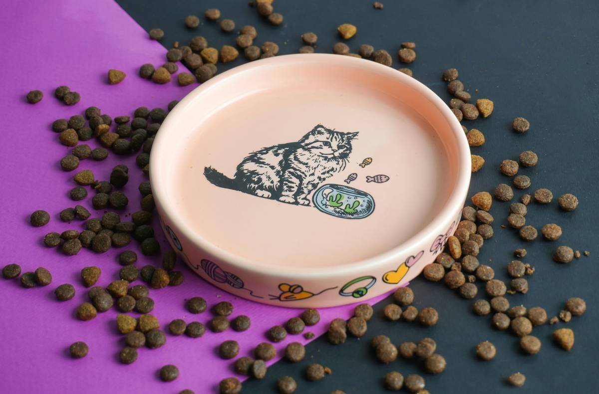 Is Your Pet’s Liver Crying Out for Help? Why a Pet Liver Health Supplement Might Be the Answer