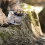 Is Your Pup Missing This Essential Mineral? The Truth About Copper Dog and Co Supplements