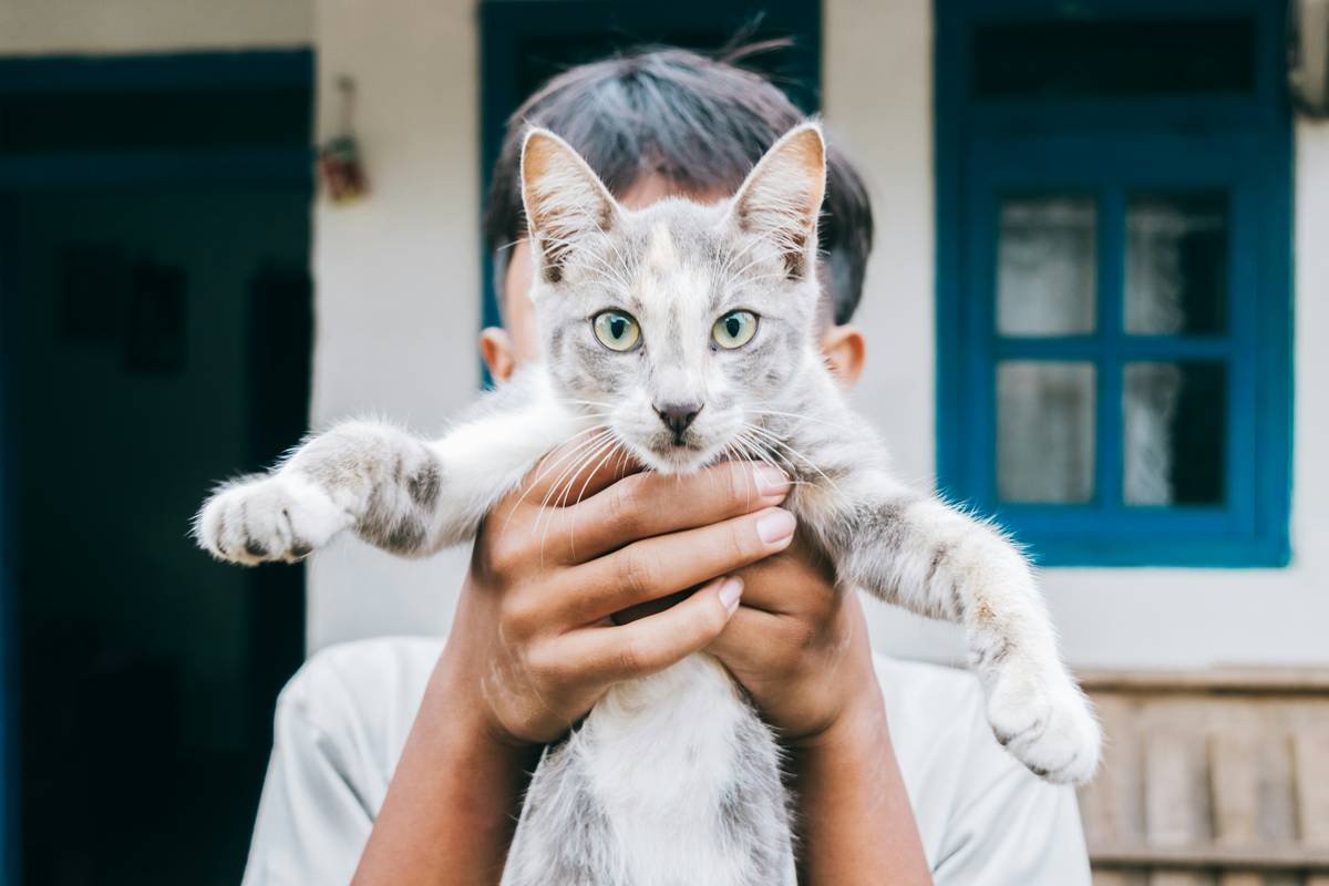 Cat and Humanity