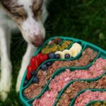 High Copper Dog Foods: What Pet Parents Need to Know (Before You Pick the Wrong One)