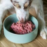 What Pet Owners Must Know About Copper Enzymes Superoxide Dismutase PPT—and Why It’s Not a Magic Bullet
