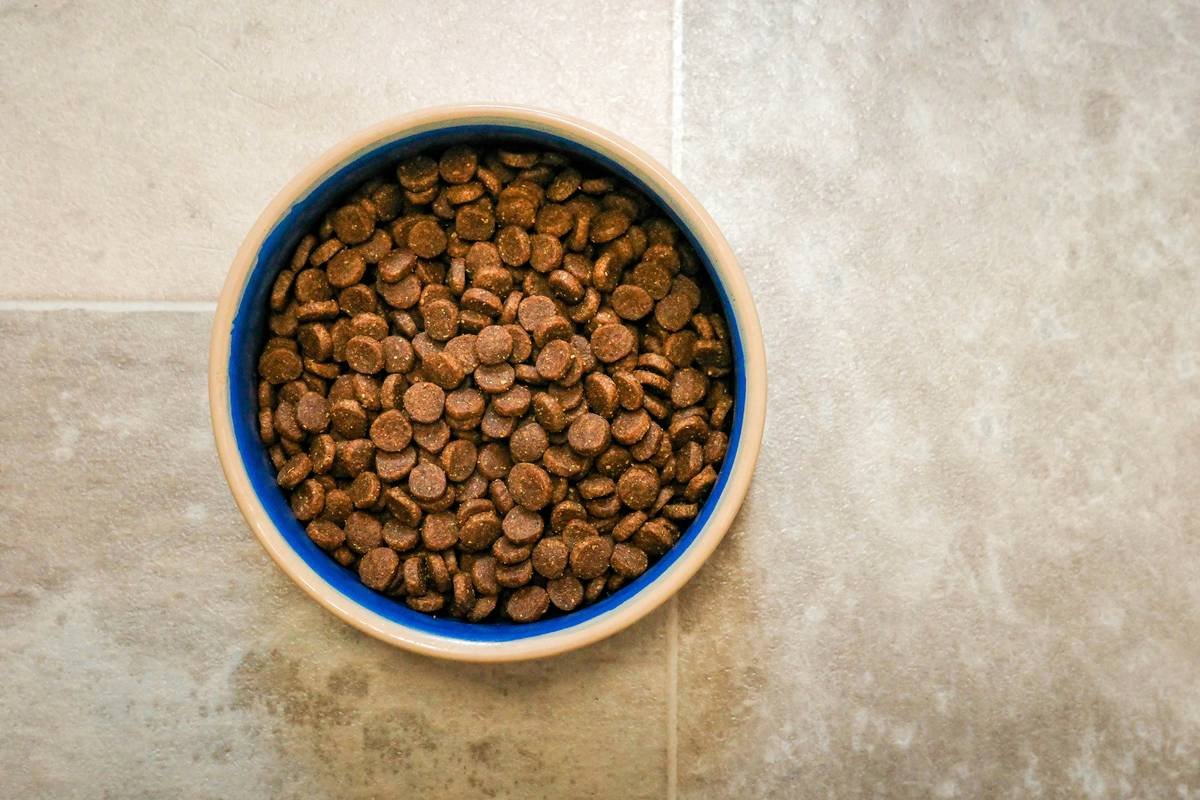 Is Copper in Dog Food Safe? What Every Pet Parent Needs to Know