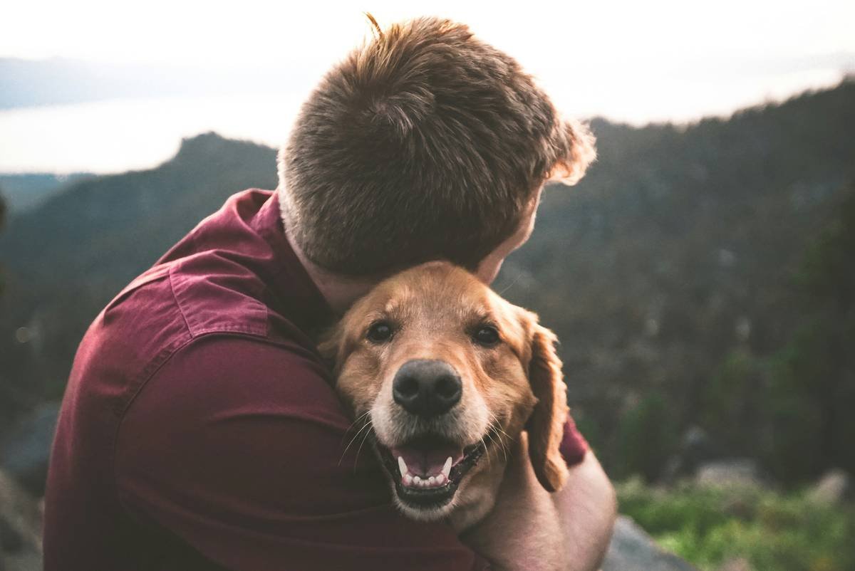 Why Your Dog Might Need Copper Zinc and Manganese Superoxide Dismutase (And When to Avoid It)